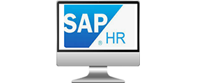 ERO(SAP-HR) 시스템 운영 전문성